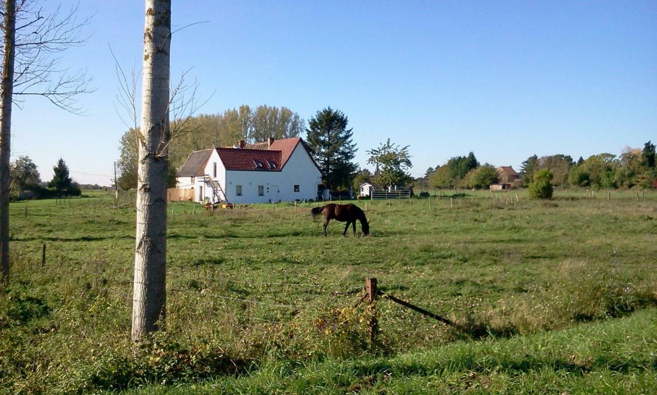 Ferme Lenfant Guest House Ville-Pommeroeul Екстериор снимка